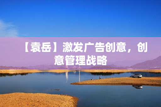 【袁岳】激发广告创意，创意管理战略