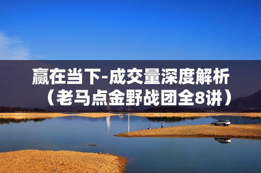 赢在当下-成交量深度解析（老马点金野战团全8讲）