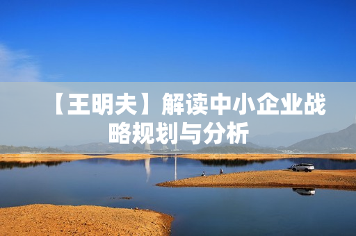 【王明夫】解读中小企业战略规划与分析