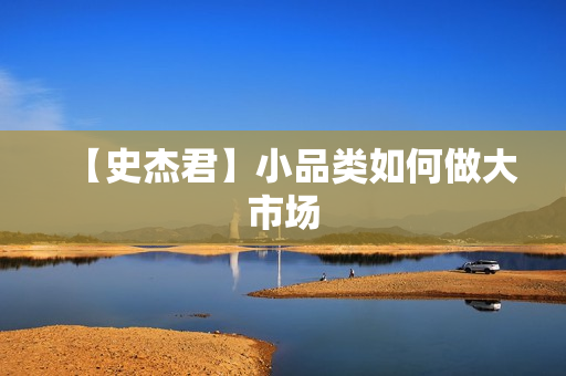【史杰君】小品类如何做大市场