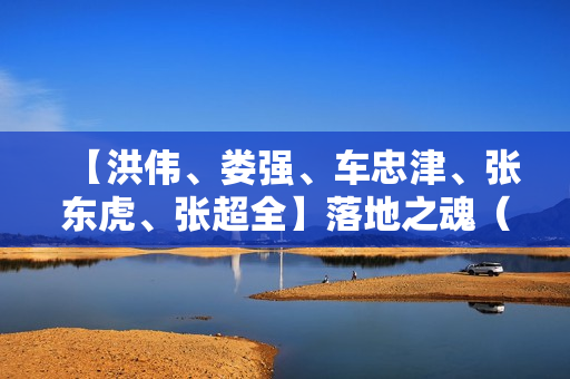 【洪伟、娄强、车忠津、张东虎、张超全】落地之魂（下）