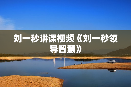 刘一秒讲课视频《刘一秒领导智慧》
