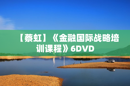 【蔡虹】《金融国际战略培训课程》6DVD