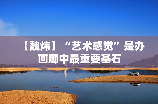 【魏炜】“艺术感觉”是办画廊中最重要基石