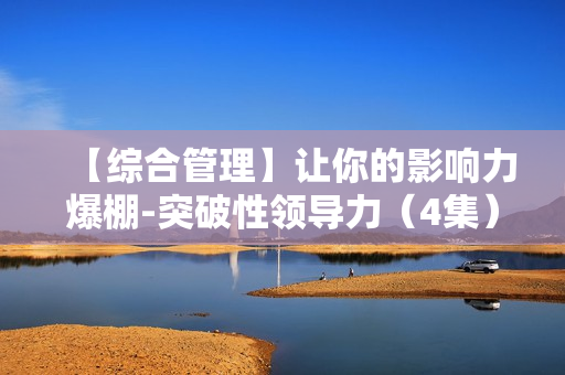 【综合管理】让你的影响力爆棚-突破性领导力（4集）