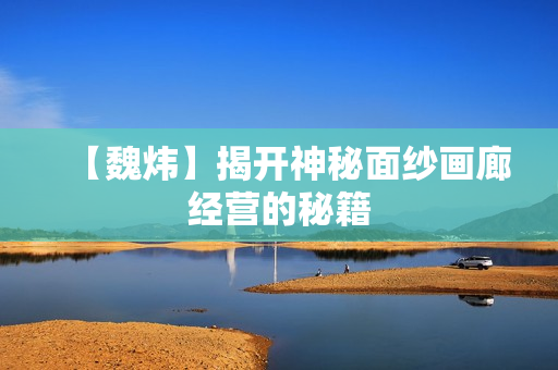 【魏炜】揭开神秘面纱画廊经营的秘籍
