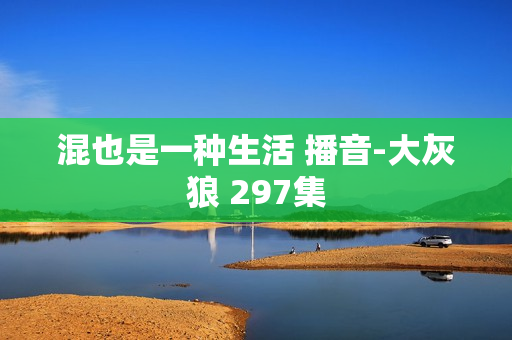 混也是一种生活 播音-大灰狼 297集