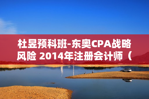 杜昱预科班-东奥CPA战略风险 2014年注册会计师（全集）