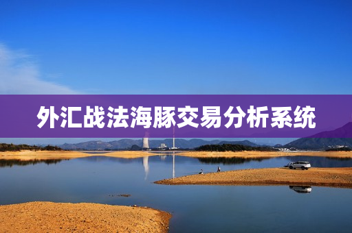 外汇战法海豚交易分析系统