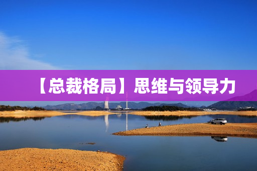 【总裁格局】思维与领导力