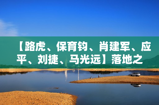 【路虎、保育钧、肖建军、应平、刘捷、马光远】落地之魂（上）