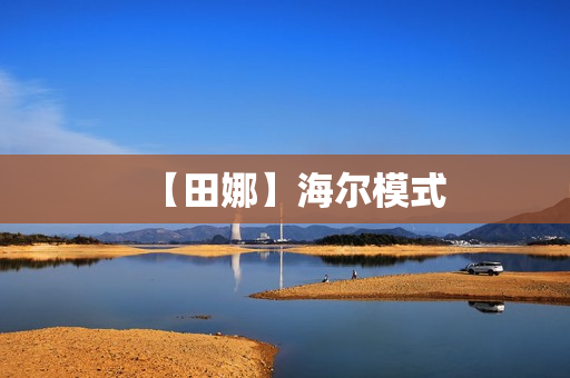【田娜】海尔模式
