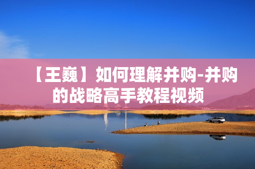 【王巍】如何理解并购-并购的战略高手教程视频