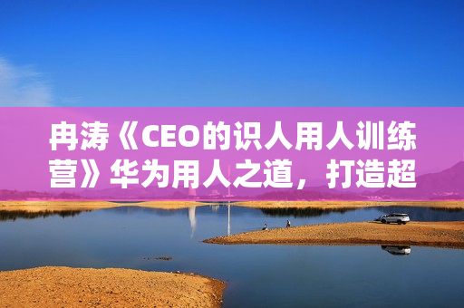 冉涛《CEO的识人用人训练营》华为用人之道，打造超强战队