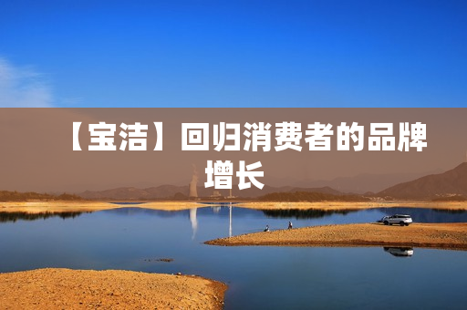 【宝洁】回归消费者的品牌增长