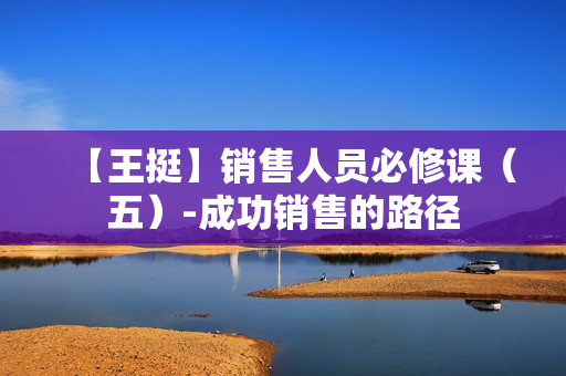 【王挺】销售人员必修课（五）-成功销售的路径