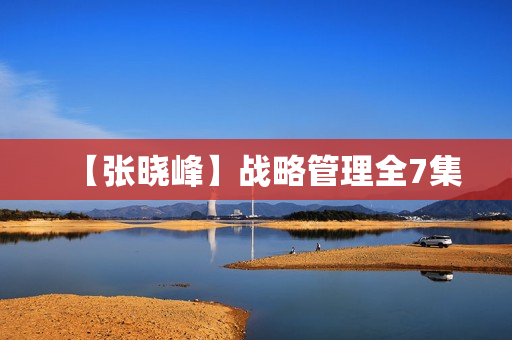 【张晓峰】战略管理全7集