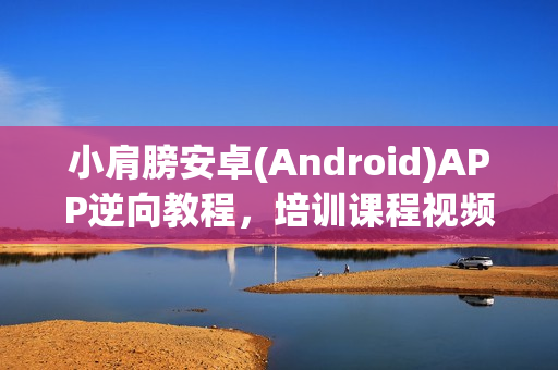 小肩膀安卓(Android)APP逆向教程，培训课程视频