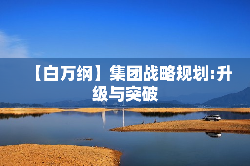 【白万纲】集团战略规划:升级与突破