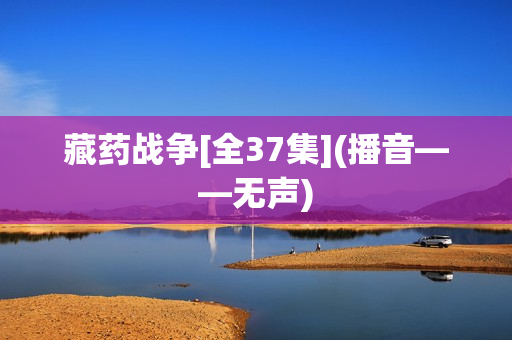 藏药战争[全37集](播音——无声)