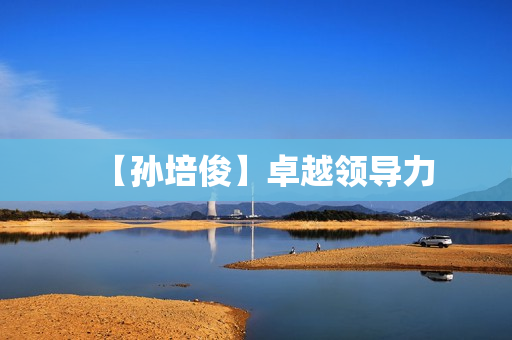 【孙培俊】卓越领导力
