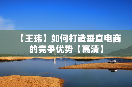 【王玮】如何打造垂直电商的竞争优势【高清】