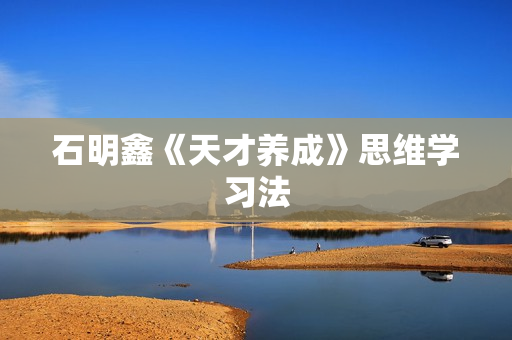 石明鑫《天才养成》思维学习法