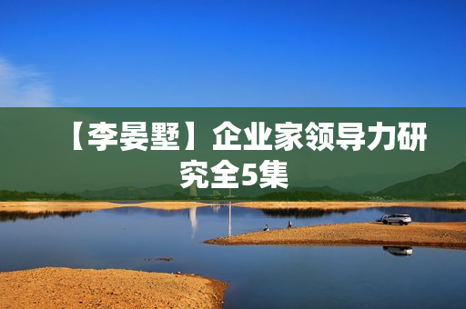 【李晏墅】企业家领导力研究全5集