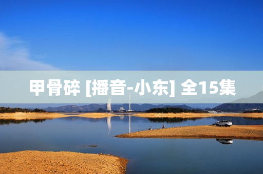 甲骨碎 [播音-小东] 全15集