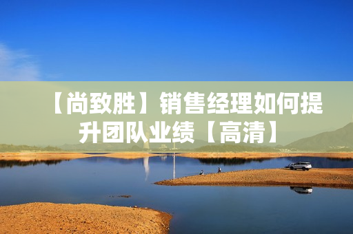 【尚致胜】销售经理如何提升团队业绩【高清】