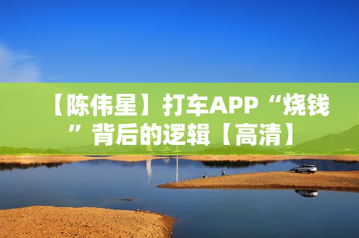 【陈伟星】打车APP“烧钱”背后的逻辑【高清】