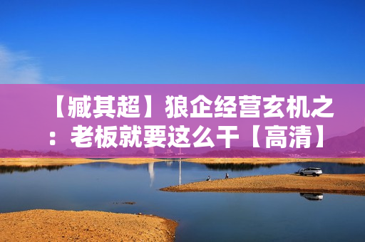 【臧其超】狼企经营玄机之：老板就要这么干【高清】