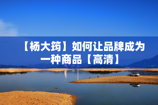 【杨大筠】如何让品牌成为一种商品【高清】