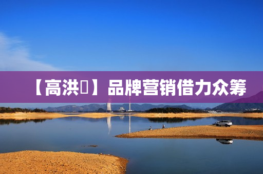 【高洪偲】品牌营销借力众筹