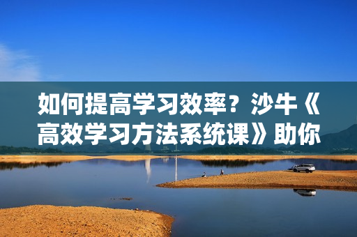 如何提高学习效率？沙牛《高效学习方法系统课》助你快速提升学习效率