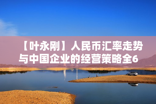 【叶永刚】人民币汇率走势与中国企业的经营策略全6集