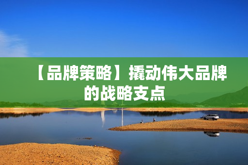 【品牌策略】撬动伟大品牌的战略支点