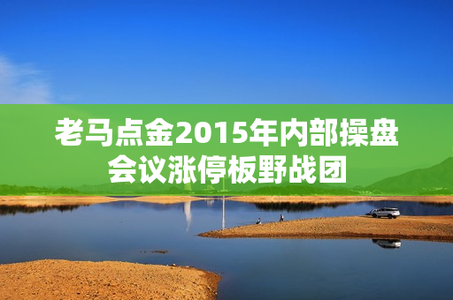 老马点金2015年内部操盘会议涨停板野战团  第1张