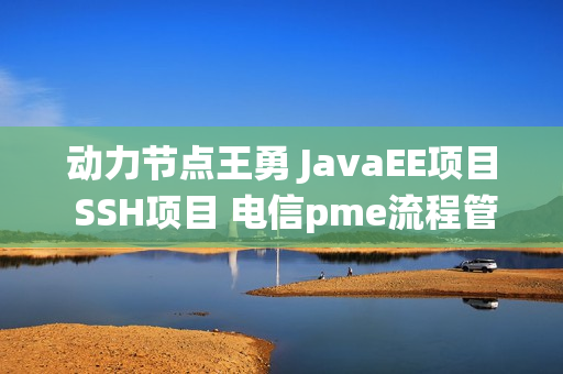 动力节点王勇 JavaEE项目 SSH项目 电信pme流程管理引擎系统学习视频52G全