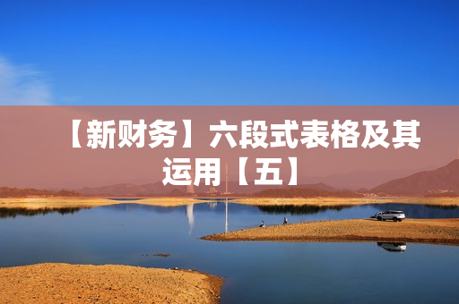 【新财务】六段式表格及其运用【五】