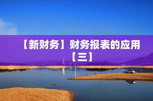 【新财务】财务报表的应用【三】
