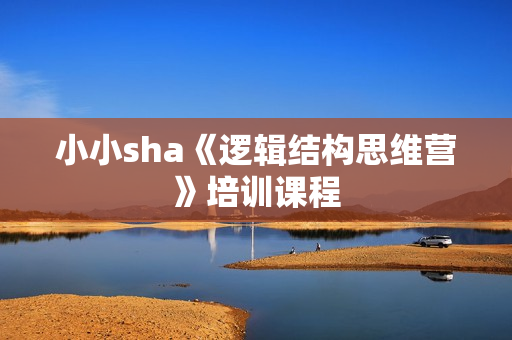 小小sha《逻辑结构思维营》培训课程