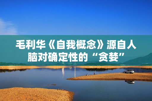 毛利华《自我概念》源自人脑对确定性的“贪婪”