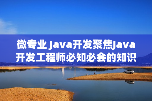 微专业 Java开发聚焦Java开发工程师必知必会的知识技能售价1798