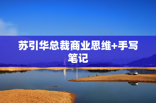 苏引华总裁商业思维+手写笔记
