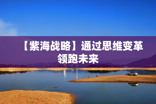 【紫海战略】通过思维变革领跑未来