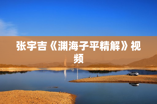 张宇吉《渊海子平精解》视频
