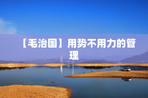 【毛治国】用势不用力的管理