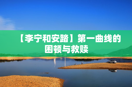 【李宁和安踏】第一曲线的困顿与救赎