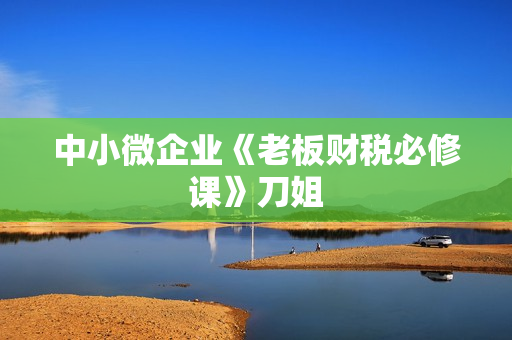 中小微企业《老板财税必修课》刀姐